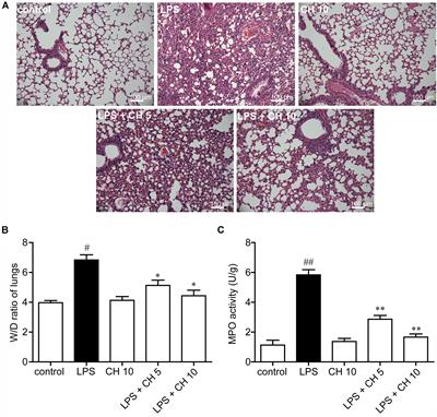 Chelerythrine Attenuates the Inflammation of Lipopolysaccharide-Induced Acute Lung Inflammation Through NF-κB Signaling Pathway Mediated by Nrf2